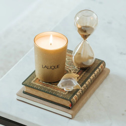 THE DESERT CANDLE B23181