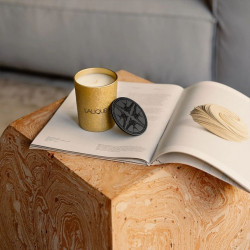 THE DESERT CANDLE B23181