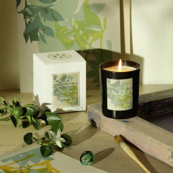 NéROLI CANDLE B30181