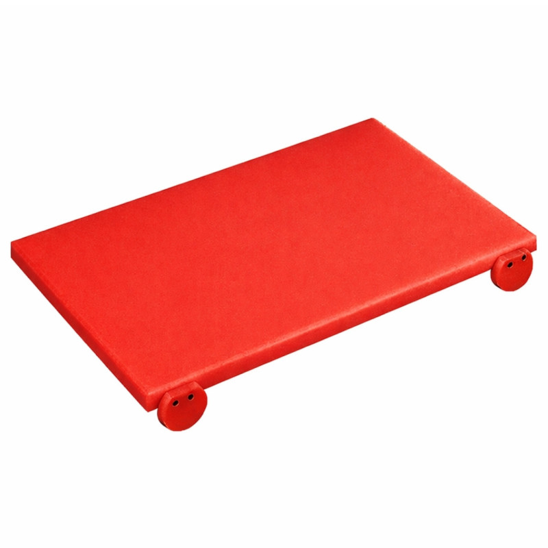 PLASTIC CUTTING BOARD WITH STOPPERS