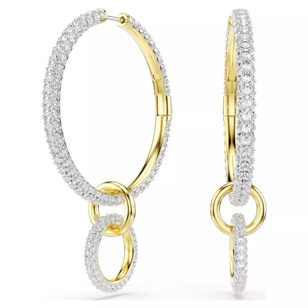 HOOP EARRINGS DEXTERA, 5738201