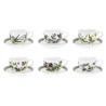 SET 6 TAZZE THE CON PIATTO BOTANIC GARDEN BG04107