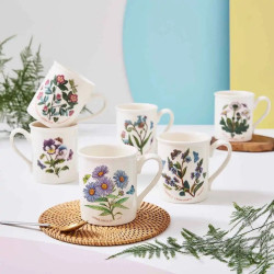 6 PCS. SET BOTANIC GARDEN MUG 48700