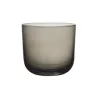 SET OF 2 WATER GLASSES LIKE GREY SMOKE 19-5186-8180