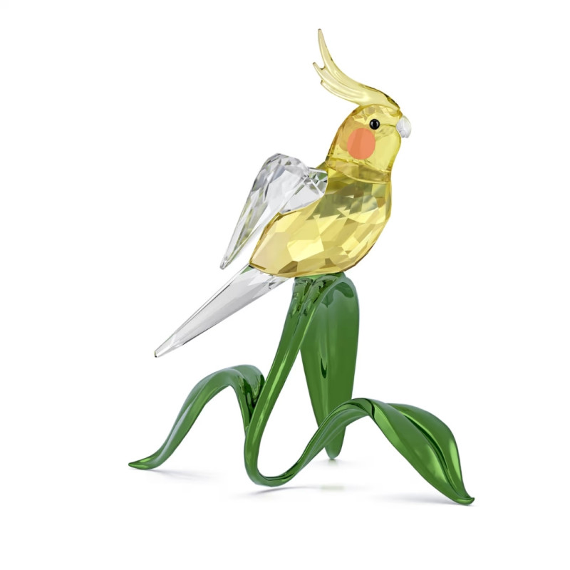 COCKATOO IDYLLIA, 5721544