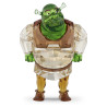SHREK , 5720462
