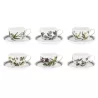 SET OF 6 TEA CUPS WITH SAUCER BOTANIC GARDEN BG04107