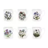 SET 6 MUG BOTANIC GARDEN 48700