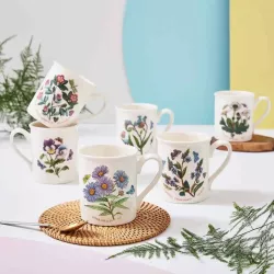 6 PCS. SET BOTANIC GARDEN MUG 48700