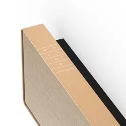 SOUNDBAR BEOSOUND STAGE