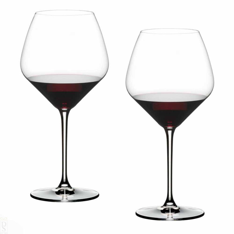 SET OF 2 PINOT NOIR GLASS EXTREME 4441/07