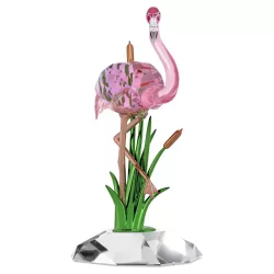 PINK FLAMINGO IDYLLIA, 5721551