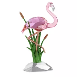 PINK FLAMINGO IDYLLIA, 5721551