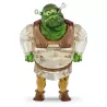 SHREK , 5720462