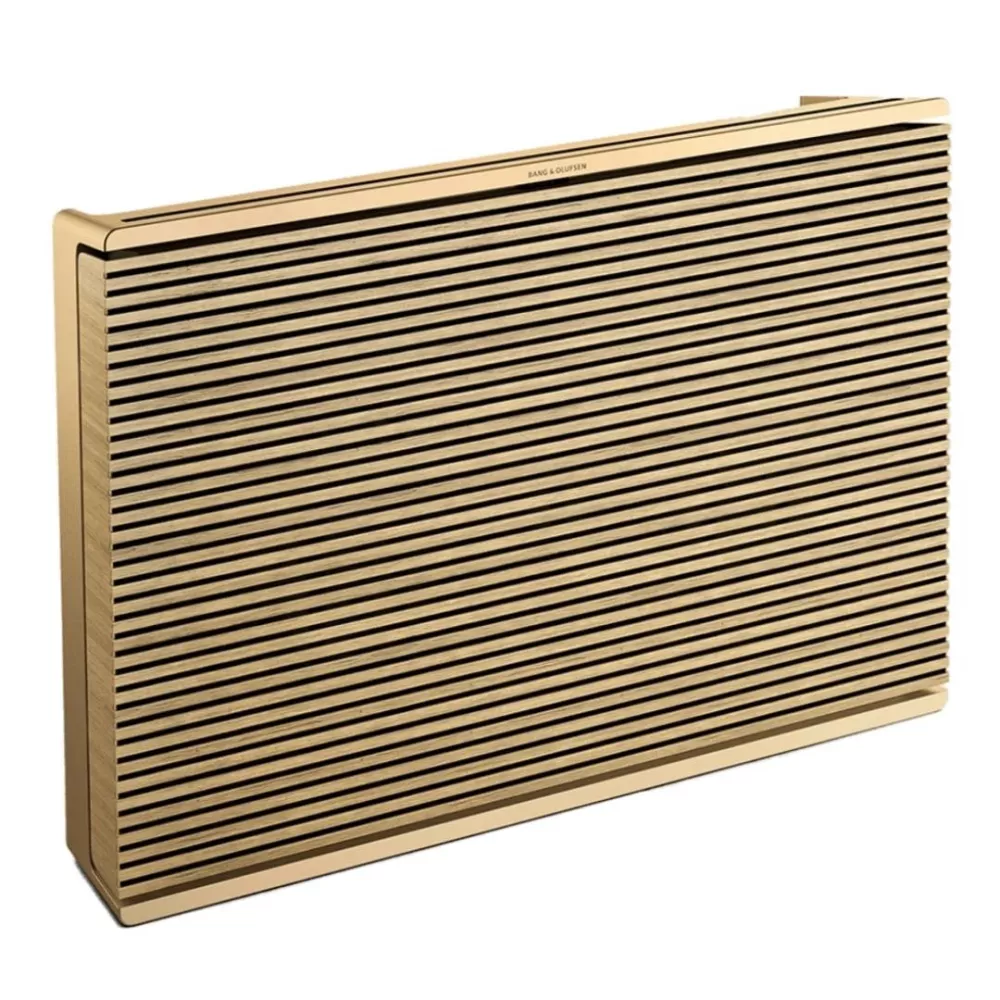 BEOSOUND LEVEL SPEAKER