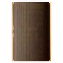 BEOSOUND LEVEL SPEAKER