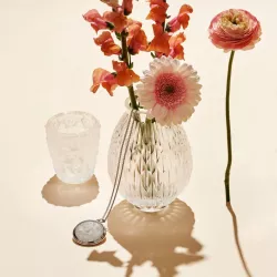 CANDLE HOLDER ANEMONES, CLEAR 10519200