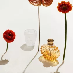 CANDLE HOLDER ANEMONES, CLEAR 10519200