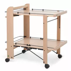 FOOD SERVICE TROLLEY, 2 LEVELS