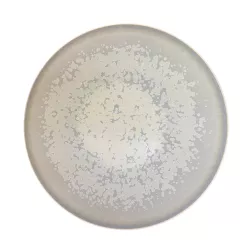 DINNER PLATE 27 CM, SONG...