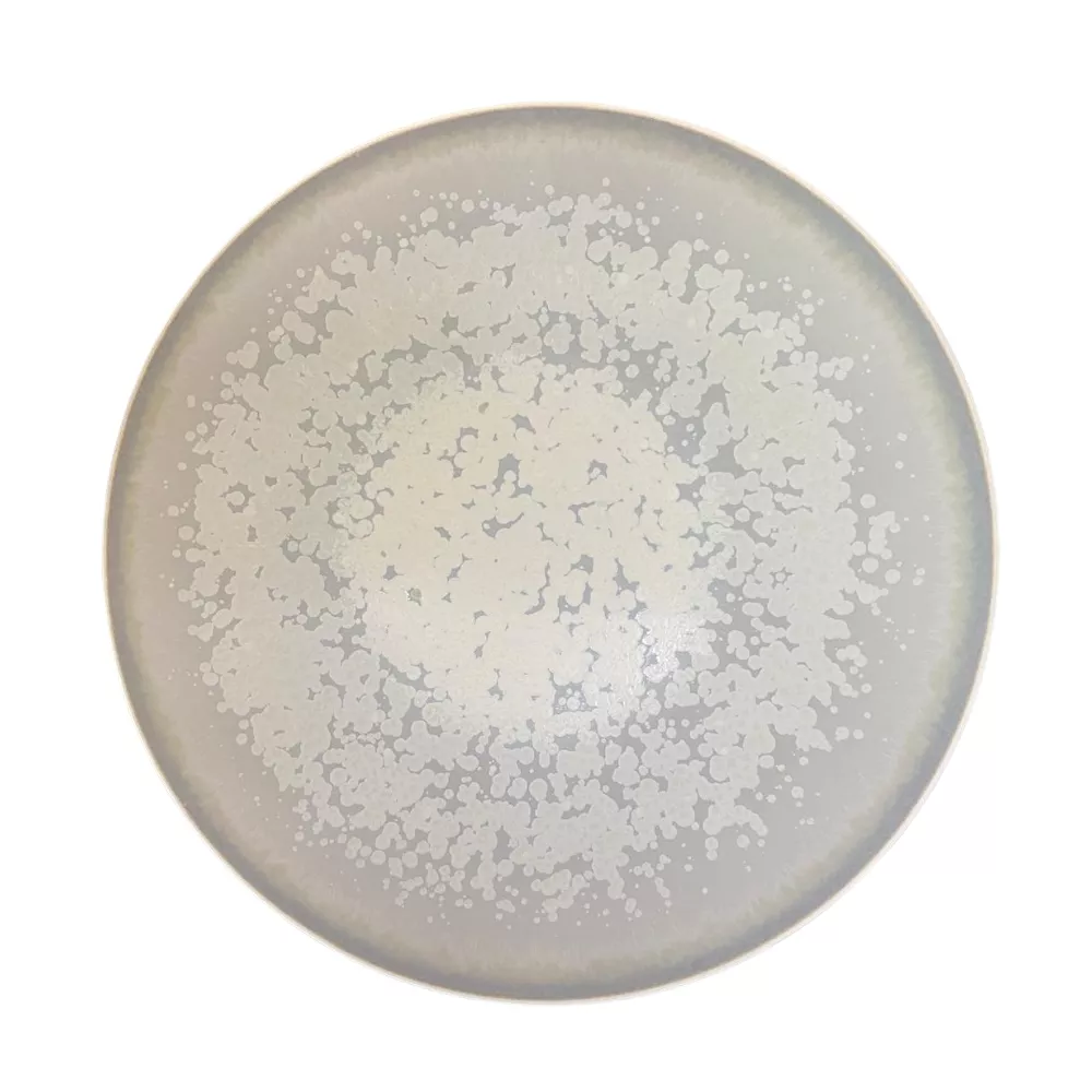 DINNER PLATE 27 CM, SONG ORAGE AGORA