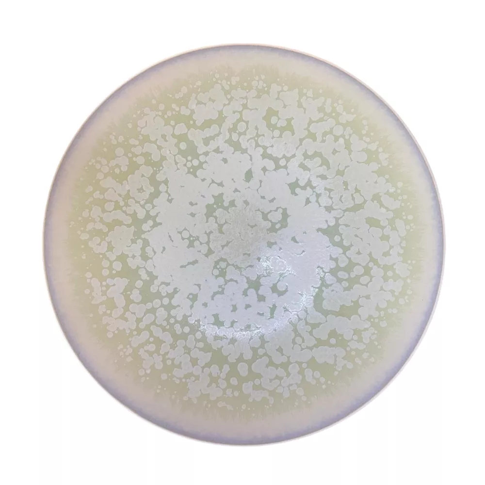 DINNER PLATE 27 CM, SONG ALMOND AGORA