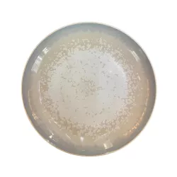 DINNER PLATE 27 CM, SONG OCEAN AGORA