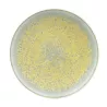 DINNER PLATE 27 CM, SONG SIENNE AGORA