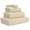 GUEST TOWEL SUPERPILE 40x60 cm, EGYPTIAN COTTON