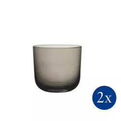 SET OF 2 WATER TUMBLER, LIKE