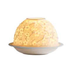 LITHOPHANIA CERISE EN FLEUR...