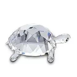 TARTARUGA GRANDEZZA SPECIALE 010101 M