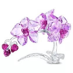 ORCHIDEA 5520373 CRYSTAL...