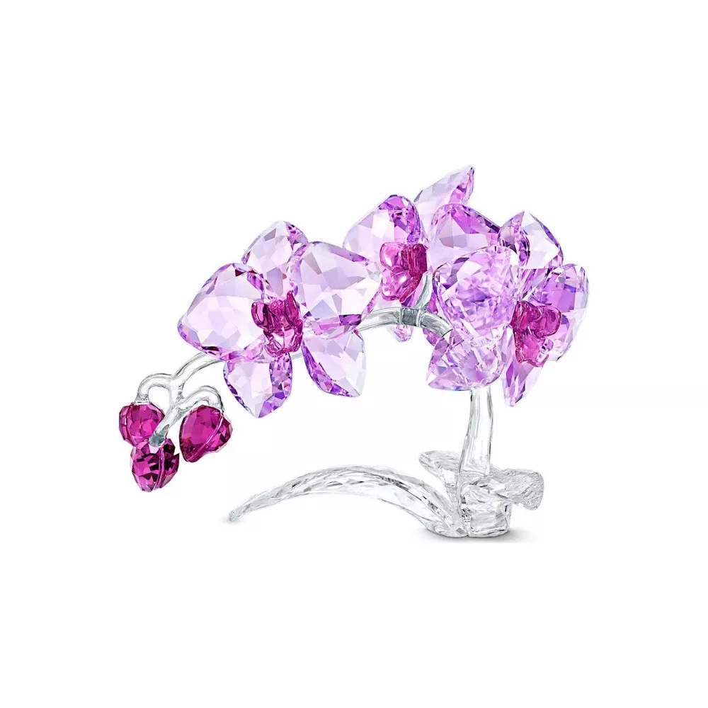 CRYSTAL FLOWERS ORCHID 5520373