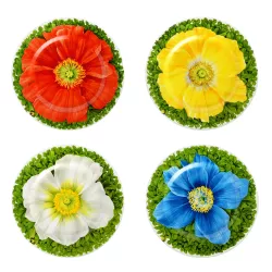 SET DI 4 PIATTI FRUTTA 21,5...