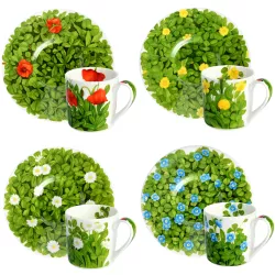SET DI 4 TAZZE CAFFÈ CON...