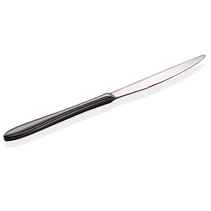 TABLE KNIFE STAINLESS STEEL GALILEO