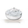 ALBI SILVER PLATED CAVIAR SET 4224540