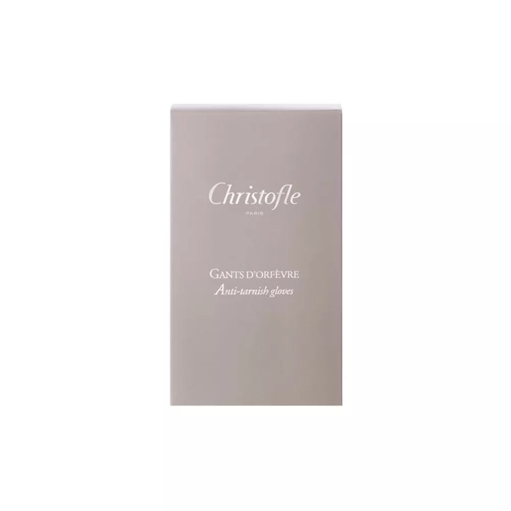 GUANTO PER PULIZIA ARGENTO 2pz - 07511859