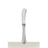 SILVER PLATED BUTTER KNIFE 0012031 SPATOURS
