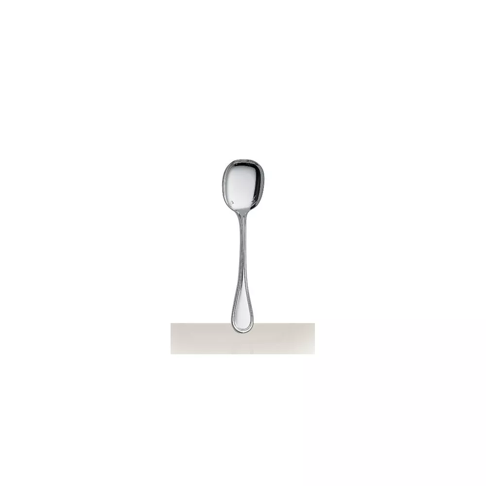 SILVER PLATED ICE SPOON 0021035 ALBI