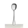 SILVER PLATED ICE SPOON 0021035 ALBI