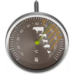 TERMOMETRO ARROSTO...