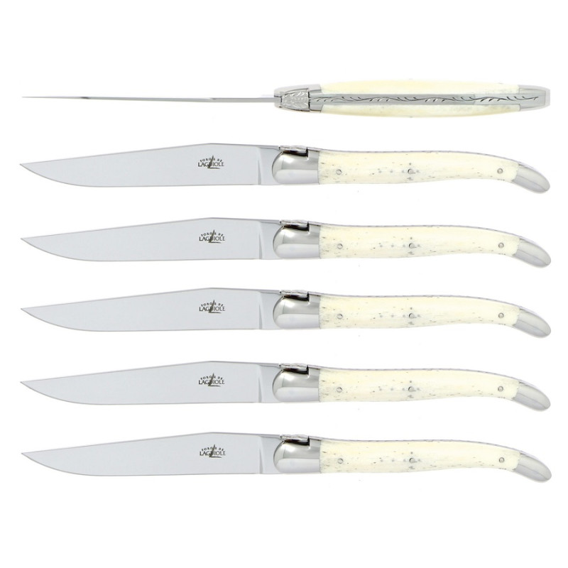 SET OF 6 TABLE KNIVES BONE HANDLE T6 2M IN OS