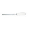 STAINLESS STEEL FISH KNIFE - DRY