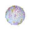  BLOOM  CEILING LAMP 9275/LV LAVANDA