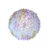 LAMPADA SOFFITTO BLOOM 9275/LV LAVANDA