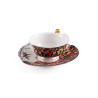 TEA CUP & SAUCER  HYBRID KANNAUJ 9172