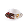TEA CUP & SAUCER  HYBRID KANNAUJ 9172