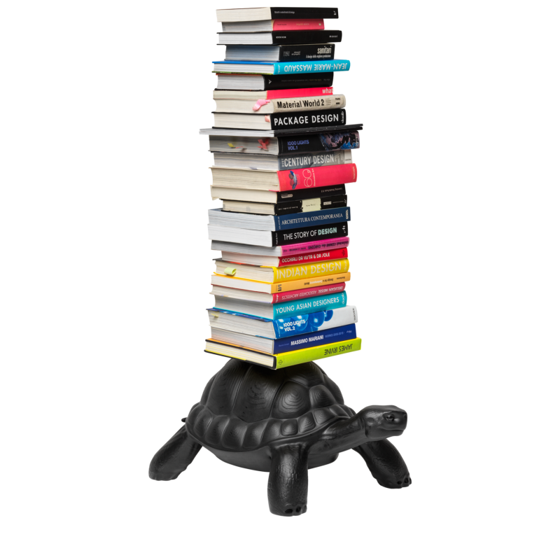 LIBRERIA TARTARUGA, TURTLE CARRY 36002